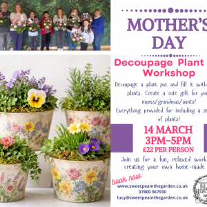 Decoupage Plant spot Workshop 14 March 3pm-5pm